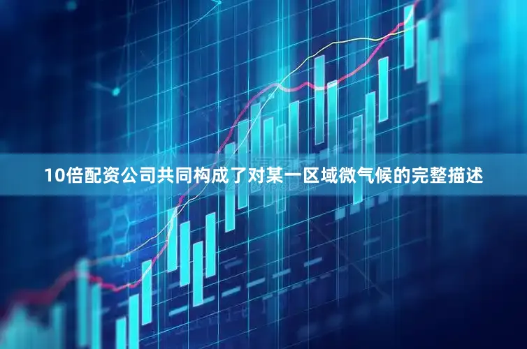 10倍配资公司共同构成了对某一区域微气候的完整描述